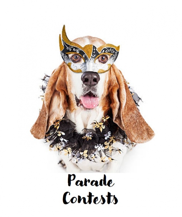 Krewe of PAWS Contests